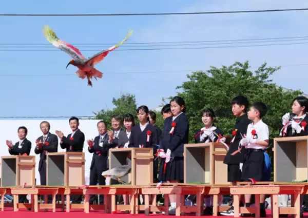 能登で本州初のトキ放鳥