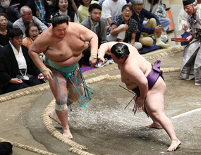 琴桜敗れ、土つかず消える