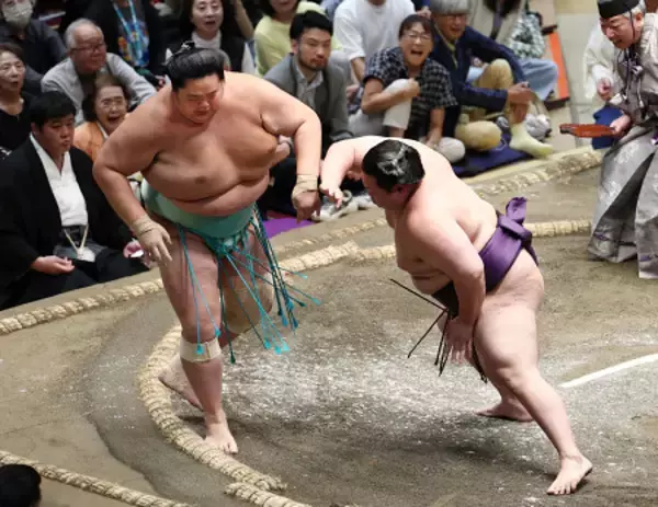 琴桜敗れ、土つかず消える