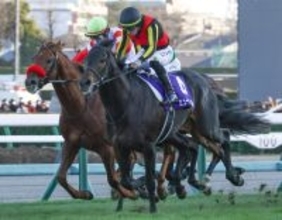 ミュージアムマイルが優勝＝競馬有馬記念