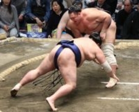 朝乃山の引き落とし