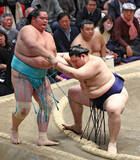 「大の里の寄り切り」の画像1