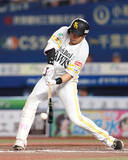 「２点適時打を放つ柳田　プロ野球」の画像1