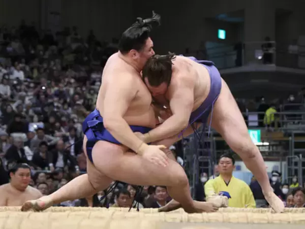 安青錦、持ち味発揮＝大相撲九州場所