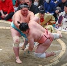 琴桜の押し倒し