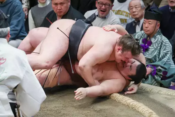 優勝を決めた安青錦