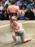 「敗れた一山本」の画像1