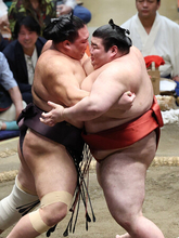 元大関は情熱尽きず＝朝乃山、１差で追走―大相撲秋場所