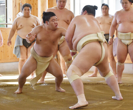 藤ノ川、１２番＝大相撲
