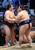 「大の里の寄り切り」の画像1