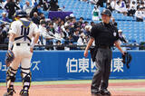 「ヘルメットを着用した溝内審判員　野球」の画像1