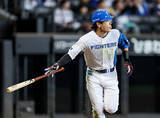 「野村の２ラン　プロ野球」の画像1