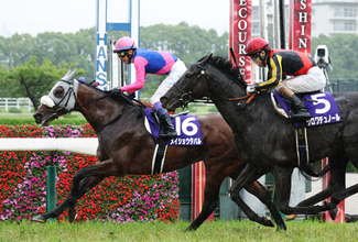 メイショウタバルが連覇＝武豊騎手は２週連続ＧIＶ―競馬宝塚記念