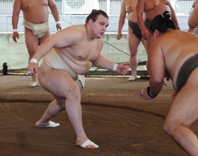 新関脇安青錦が出稽古＝大相撲