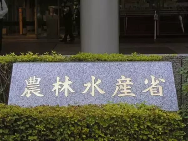 コメ価格、７週ぶり上昇＝５キロ３２２０円―農水省