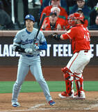「三振の大谷　大リーグ」の画像1