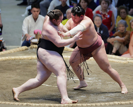 攻める錦富士