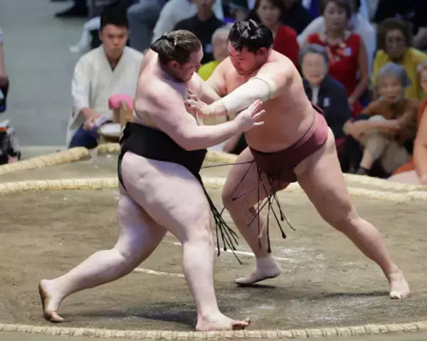 攻める錦富士