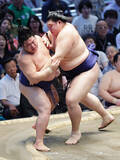「大の里、連勝に一息＝大相撲名古屋場所」の画像1
