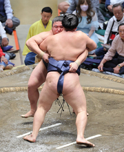 攻める若元春