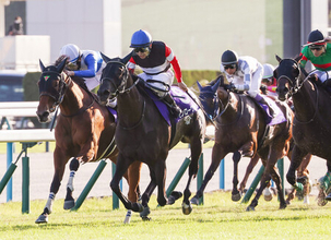 モンローウォーク、期待に応える＝競馬秋華賞