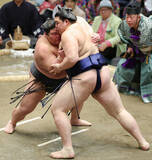 「伯乃富士、４場所連続で金星＝大相撲初場所」の画像1