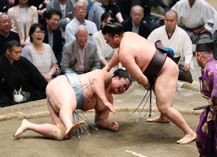 霧島のはたき込み