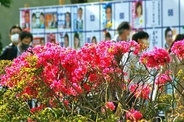 統一選、来年４月１１、２５日＝特例法案を閣議決定