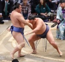 豊昇龍の寄り切り