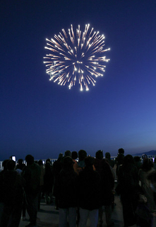 夜空を彩る鎮魂の花火
