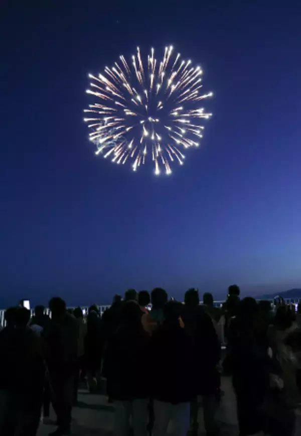 夜空を彩る鎮魂の花火
