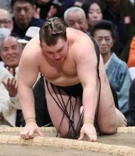 安青錦、早くも絶望＝大相撲春場所