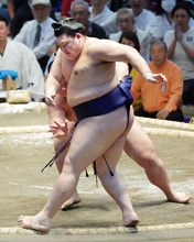 明暗分かれた両横綱＝大相撲名古屋場所