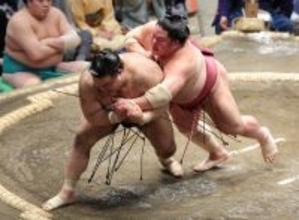 高安のかいなひねり