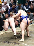 「欧勝馬の上手投げ」の画像1