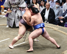 藤ノ川、新関脇で２桁白星＝大相撲秋場所