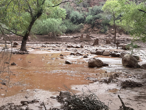 米グランドキャニオンで鉄砲水