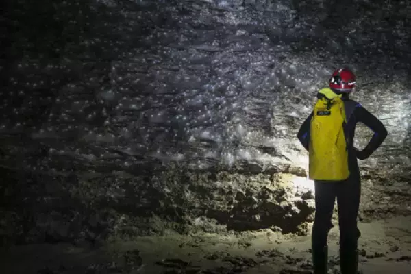 テニスコート半面の巨大クモの巣