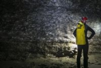 テニスコート半面の巨大クモの巣