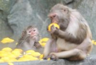 ゆず湯でほっこり