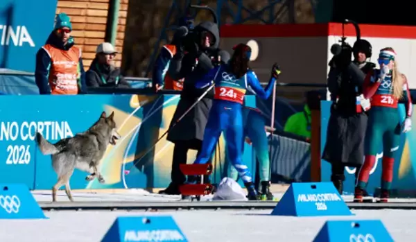 コースを走る犬　五輪