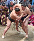 「両横綱、連敗で３敗」の画像1