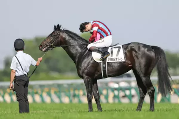競馬日本ダービー・談話