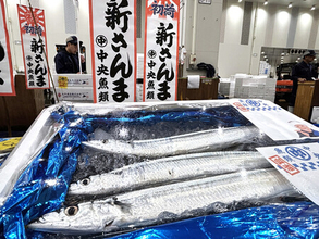 初サンマ、キロ７０万円＝豊洲市場で最高値更新