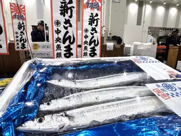 初サンマ、キロ７０万円＝豊洲市場で最高値更新