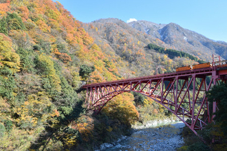 黒部峡谷で紅葉が見頃