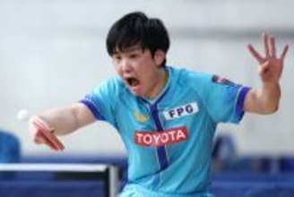 プレーする張本智　全日本卓球