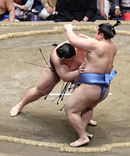 義ノ富士の押し出し