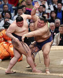 「高安が５連勝」の画像1