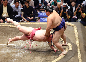 上位陣、そろって白星